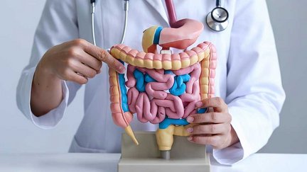 Ambulante Spezialfachärztliche Versorgung Gastrointestinale Tumore an den medius KLINIKEN