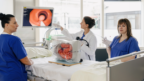 Eine Ärztin erklärt die Darmspiegelung