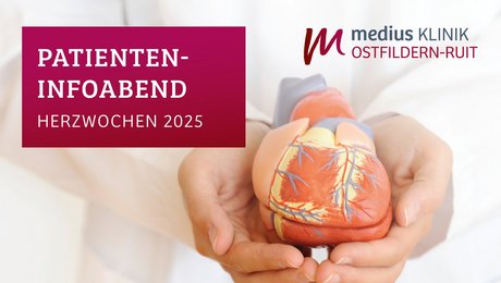 Arzt hält Herzmodell in den Händen