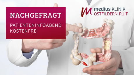 Arzt mit Modell des Dickdarms als Symbol für Patienteninfoabend der medius KLINIK OSTFILDERN-RUIT
