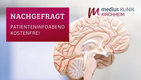 Querschnitt eines Gehirns als Symbol für Schlaganfall und Demenz für Patienteninfoabend der Klinik für Neurologie der medius KLINIK KIRCHHEIM