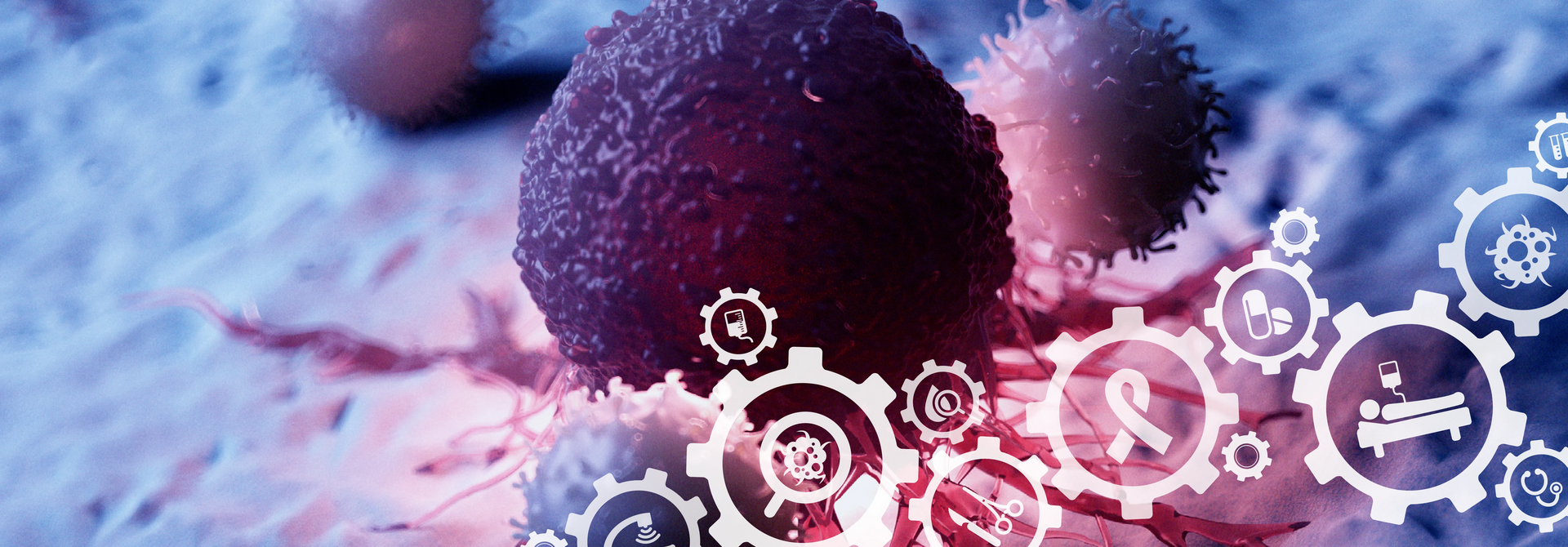 Informationen rund um die Tumormedizin, medius KLINIK OSTFILDERN-RUIT