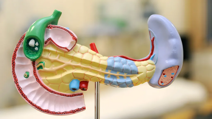 Allgemeine und Viszeralchirurgie, medius KLINIK OSTFILDERN-RUIT