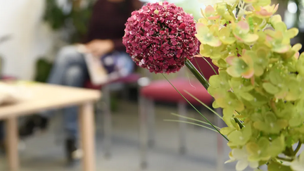 Aufsuchende PIA der medius KLINIK