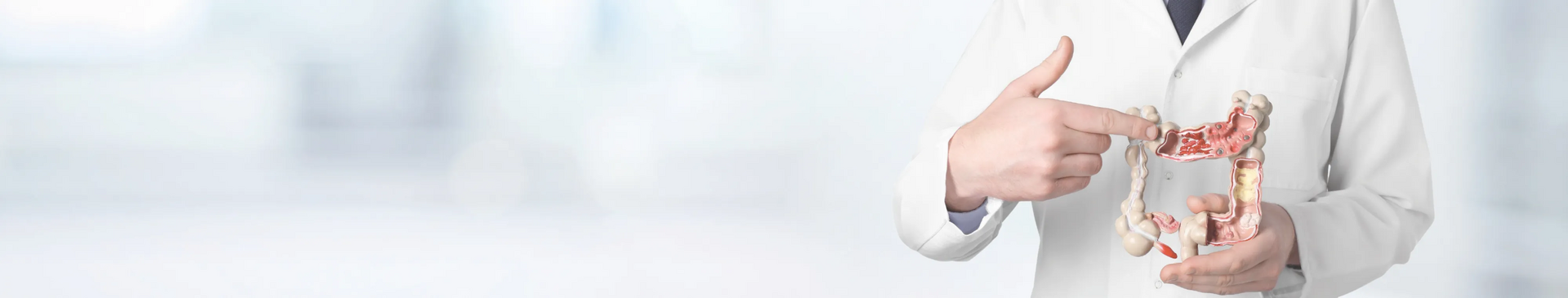 Arzt mit Modell des Dickdarms als Symbol für Patienteninfoabend der medius KLINIK OSTFILDERN-RUIT