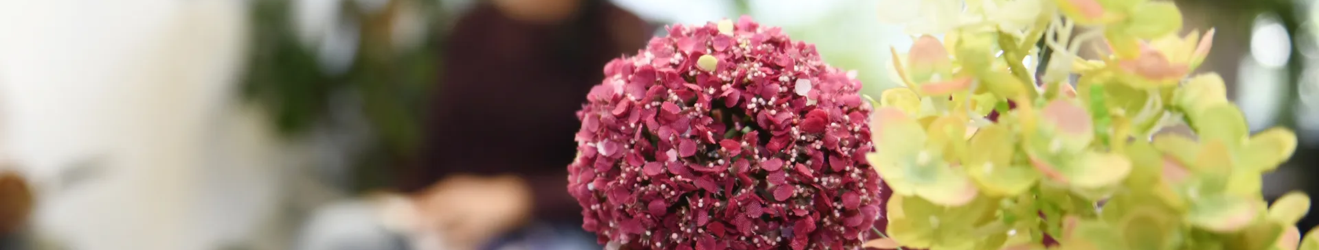 Aufsuchende PIA der medius Klinik Kirchheim