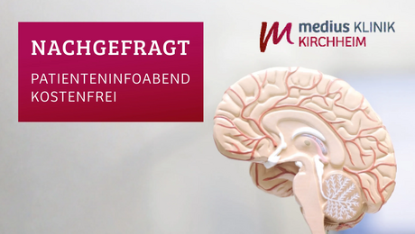 Querschnitt des Gehirns als Symbol für Informationsabend der medius KLINIK KIRCHHEIM