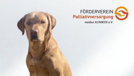 Abbildung Hund als Symbol für tiergestützte Therapie auf der Palliativstation der medius KLINIK NÜRTINGEN