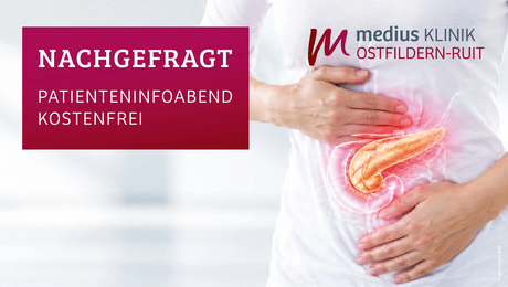 Hervorgehobene Bauchspeicheldrüse als Symbol für Informationsabend an der medius KLINIK OSTFILDERN-RUIT