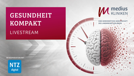 Gehirn als Symbol für Livestream zum Thema Schlaganfall der medius KLINIKEN